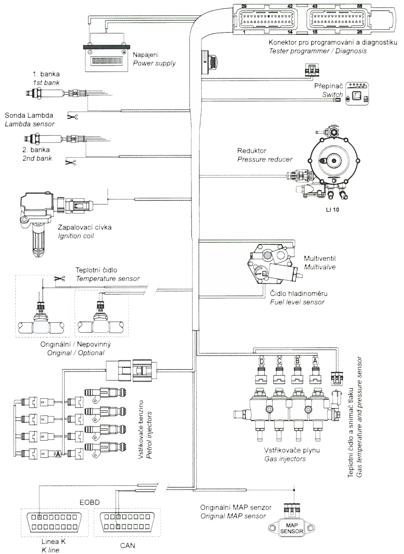 schema